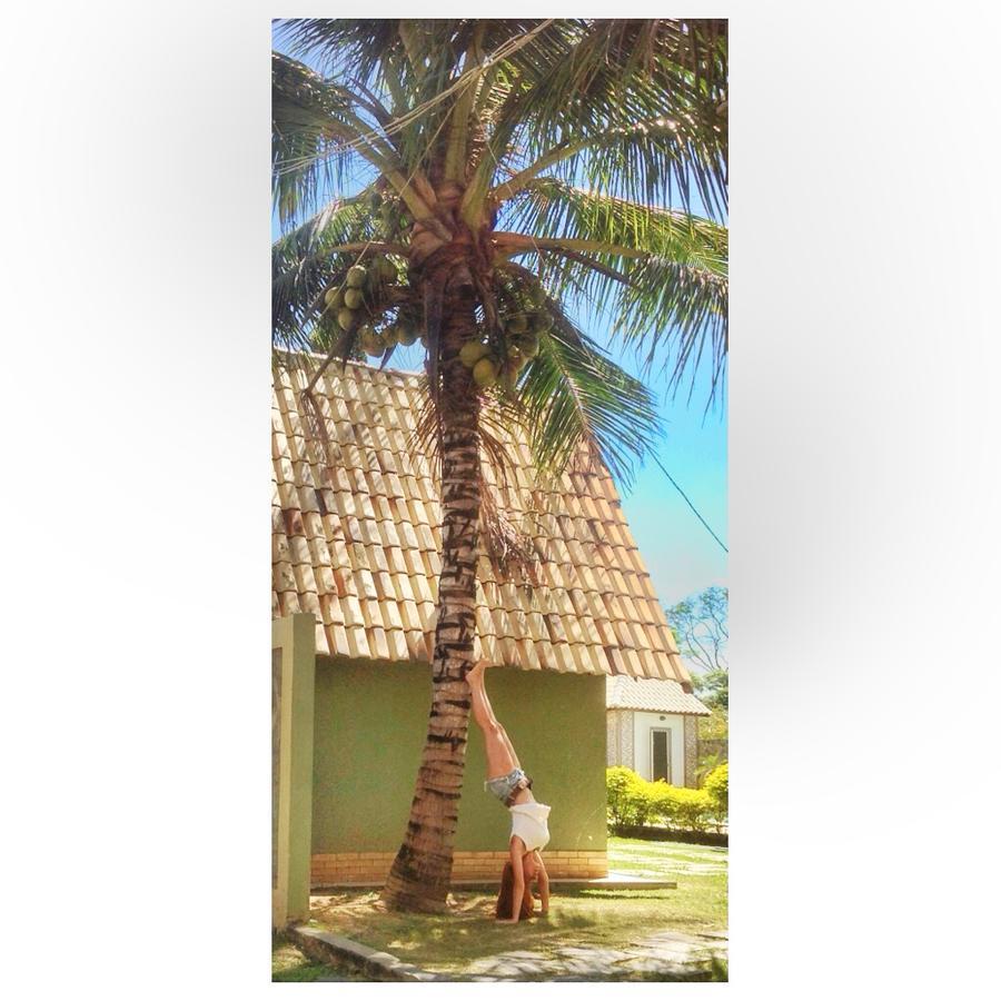 Hotel Pousada Dos Chales Campos dos Goytacazes Buitenkant foto